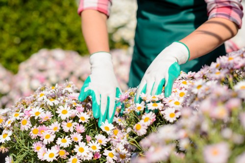 Operative performing risk assessment in a garden