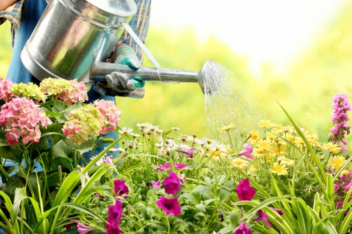 Close-up of safety helmet and gloves laid out for garden work