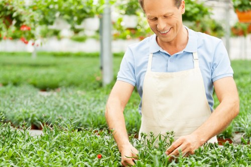Small garden cleanup in a city terrace with a gardener removing waste